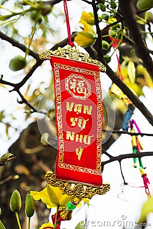 Vietnamese and Chinese New Year decoration on a background of yellow flowers. The inscription is translated - Great Consciousness Stock Photo